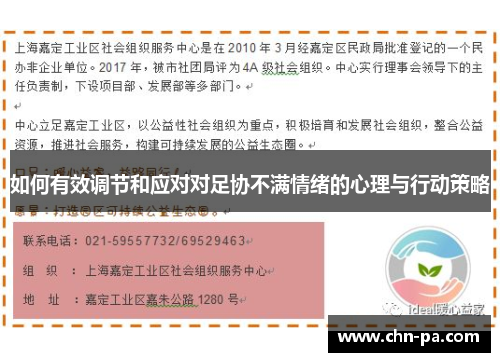 如何有效调节和应对对足协不满情绪的心理与行动策略