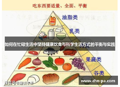 如何在忙碌生活中坚持健康饮食与科学生活方式的平衡与实践