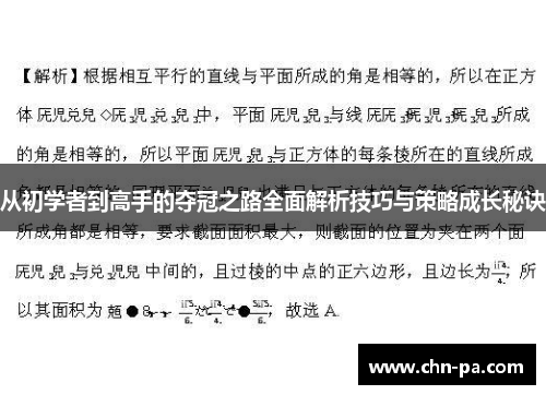 从初学者到高手的夺冠之路全面解析技巧与策略成长秘诀