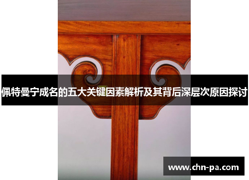 佩特曼宁成名的五大关键因素解析及其背后深层次原因探讨