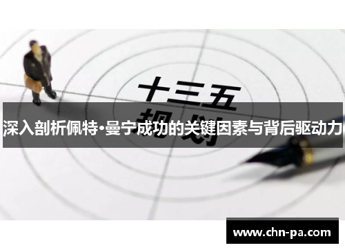 深入剖析佩特·曼宁成功的关键因素与背后驱动力