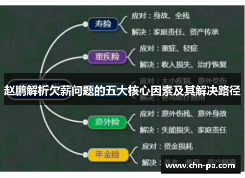 赵鹏解析欠薪问题的五大核心因素及其解决路径