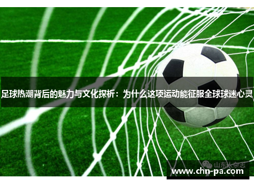 足球热潮背后的魅力与文化探析：为什么这项运动能征服全球球迷心灵