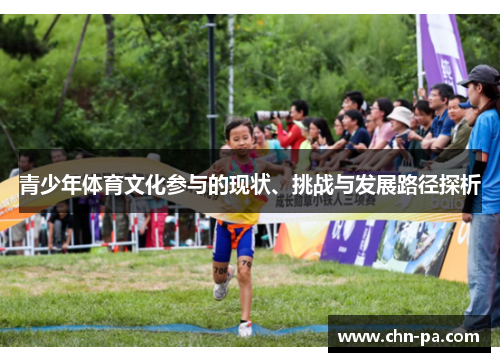 青少年体育文化参与的现状、挑战与发展路径探析