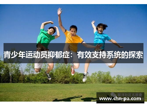 青少年运动员抑郁症：有效支持系统的探索