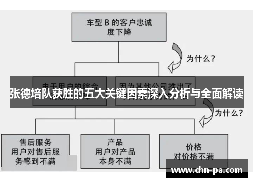 张德培队获胜的五大关键因素深入分析与全面解读