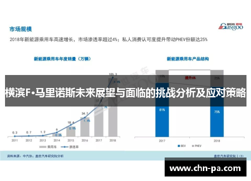 横滨F·马里诺斯未来展望与面临的挑战分析及应对策略