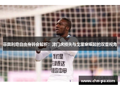 菲奥利奇自由身转会解析:津门虎损失与戈里察崛起的双重视角 菲奥利奇自由身转会解析:津门虎损失与戈里察崛起的双重视角