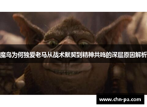 魔鸟为何独爱老马从战术默契到精神共鸣的深层原因解析