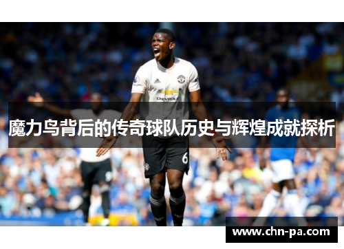 魔力鸟背后的传奇球队历史与辉煌成就探析